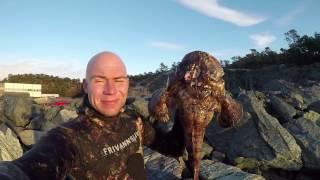 Spearfishing Norway - Monkfish and ghost trap