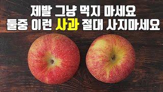 사과의 모든것! 이것만 숙지하세요 고르는법, 보관법, 효능, 종류