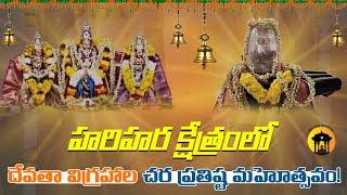 Deities Chara Prathishta in Harihara Kshethram Temple | Hindu Temple Austin | Texas