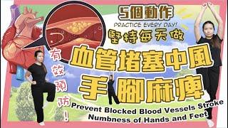 預防血管堵塞。中風。手腳麻痺｜Prevent Clogging of Blood Vessels. Stroke. Numbness of Hands and Feet