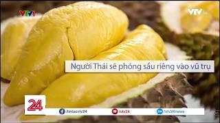 Tiêu điểm review: Những sự kiện nổi bật trong tuần - Tin Tức VTV24