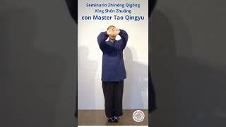 Seminario Zhìnéng Qìgōng -  Xíng Shén Zhuāng