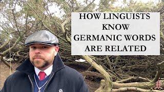 How Linguists Know Germanic Words Are Related: An Introduction