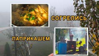 #vlog ОТДЫХАТЬ, НЕ РАБОТАТЬ//ПАПРИКАШ//ЖИЗНЬ В СВОЕМ ДОМЕ//№57