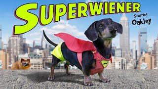 SUPERWIENER! - The Funny Wiener Dog Superhero