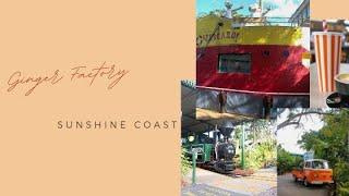 Ginger factory - Free attractions too#sunshinecoast #travelvlog #australia #visitsunshinecoast #qld