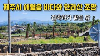 제주도 부동산 매물 애월읍 바다와 한라산조망 바다보이는 기반시설 완료된 토지