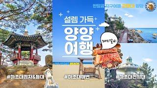 [양양 EP.01] 고맙다! 양양 / 하조대 해수욕장 / 하조대 전망대 / 하조대 등대 / 하조대 정자 / E7 양양죽도 호텔 / 양양 돼지갈비 