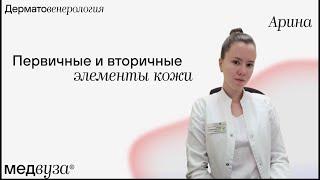 Первичные и вторичные элементы кожи | Дерматовенерология | Медвуза