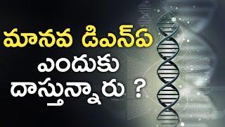 DNA History in Telugu | Human Genes Explained | Human Genetics Evolution Explained | News6G 