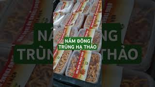 Nấm đông trùng hạ thảo tươi #mushroom #dtht