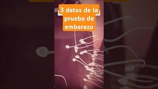 3 Datos de la prueba de embarazo: ¿A los cuantos dias es valida? ¿requiere ayuno? ¿sangre u orina?