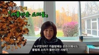 한국문학방송