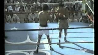 Camacho vs Limon