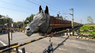 Dangerous Black Mad Horse Headed Malda intercity Express Furious Passing Throughout Railgate