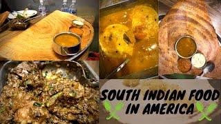 Best South Indian food in North Carolina | The Lifestyle Vloggers - Daily VLOG