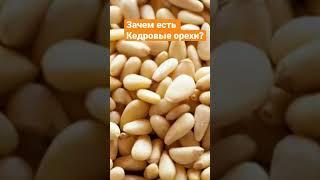 Какая польза в кедровых орехах?