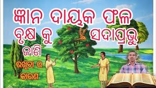 ସଦ୍ ସତ ଜ୍ଞାନ ଦାୟକ ଫଳର ବୃକ୍ଷ ସଦାପ୍ରଭୁ ଜାଣି ରଖିଥିଲେ #P salaman#