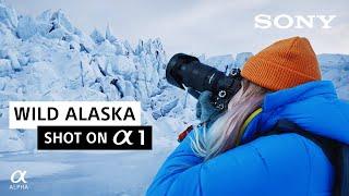 Wild Alaska | Charly Savely | Shot on Sony Alpha 1