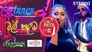 Mal Kalamba | මල් කළඹ | Kushani Sandarekha & The News | Coke RED |  @RooTunes ​