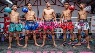 YOKKAO Boxing Gloves and Muay Thai Shorts DROP ️ STADIUM Collection ️