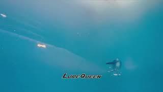 Best Mouse Fishing Lures - Best Fishing Pooldemo Musky And Pike Lure Miuras Mouse 23Cm Subsurface