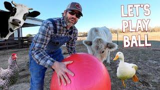 Playing Ball With Farm Animals! (Fun)