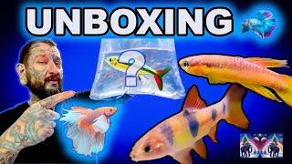 Unboxing the Unknown: Fish Suprises and Unexpected Chaos!