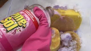 ASMR Fabuloso & Pinesol squeezes outdoors mixed with Cold Canadian crunchy snow ️ ️Part 1 of 2