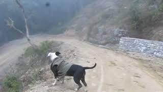 Countryside Life of Nepal | Baglung | Daga tumdada