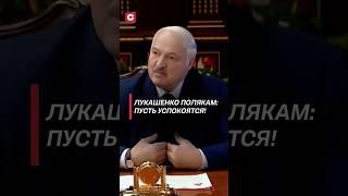 Лукашенко полякам: Пусть успокоятся! #лукашенко #батька #беларусь #новости #политика