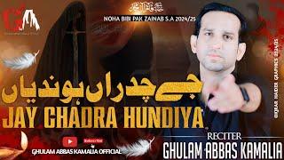 Jay Chadran Hondian | Ghulam Abbas Kamalia | New Nohay 2024 | Noha | Noha BiBi Zainab | Mola Hussain