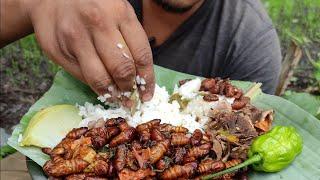 eating silkworm larvae (pupae) and gills mushroom authentic NAGA dish || Kents Vlog.