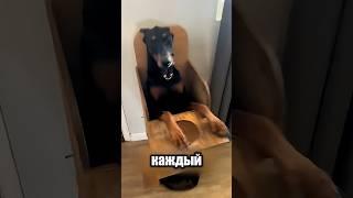 У Этой Собаки Редкая Болезнь!