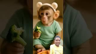 #cute #monkey #animals #youtubeshorts