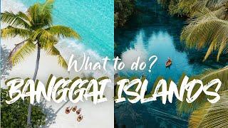 BANGGAI ISLANDS - What to do?  | Travel Vlog