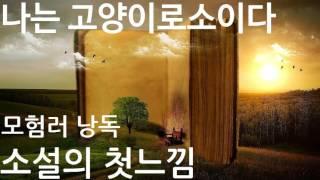 [소설의 첫느낌]나는 고양이로소이다|나쓰메 소세키|현암사|#10