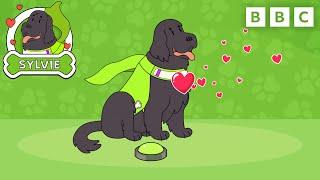 Therapy Dog Sylvie's Best Moments  | Dog Squad | CBeebies