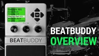 Singular Sound | An Overview of the BeatBuddy Drum Machine Pedal