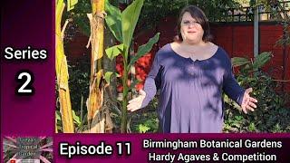 Freya's Tropical Garden S2 E11: Birmingham Botanical Gdns Mediterranean & Arid House, Hardy Agaves..