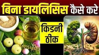 बिना डायलिसिस करे किडनी ठीक | Karma Ayurveda | Dr Puneet Dhawan | Kidney Treatment Without Dialysis