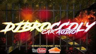 SOLOS TONY DIZE CAR AUDIO DOBLE TONO DJ BROCCOLY CAR AUDIO