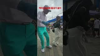 #끔꾸는백마강#김용빈젠틀맨#민들레