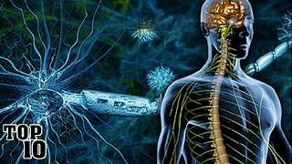 Top 10 Multiple Sclerosis Facts You Should Know