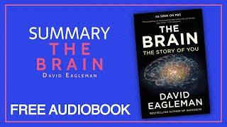 Summary of The Brain by David Eagleman | Free Audiobook