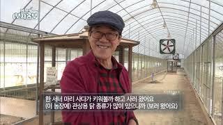 [40회] '반려닭' 사육으로 연매출 20억!! '충북 진천군 석지훈 부자농부'