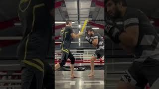 Бокс в Москве TAIBOV FIGHT CLUB #персональныетренировки #бокс #единоборства #mmatraining #ufc