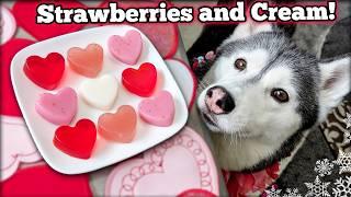 Valentine's Day Strawberry and Cream Gummy Dog Treats ️ DIY Dog Treats