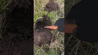 A strange item I found metal detecting #metaldetecting