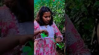 Full video⬇️⬇️ #viralvideo #familylife #lijisujith #pushpa #pushpa2